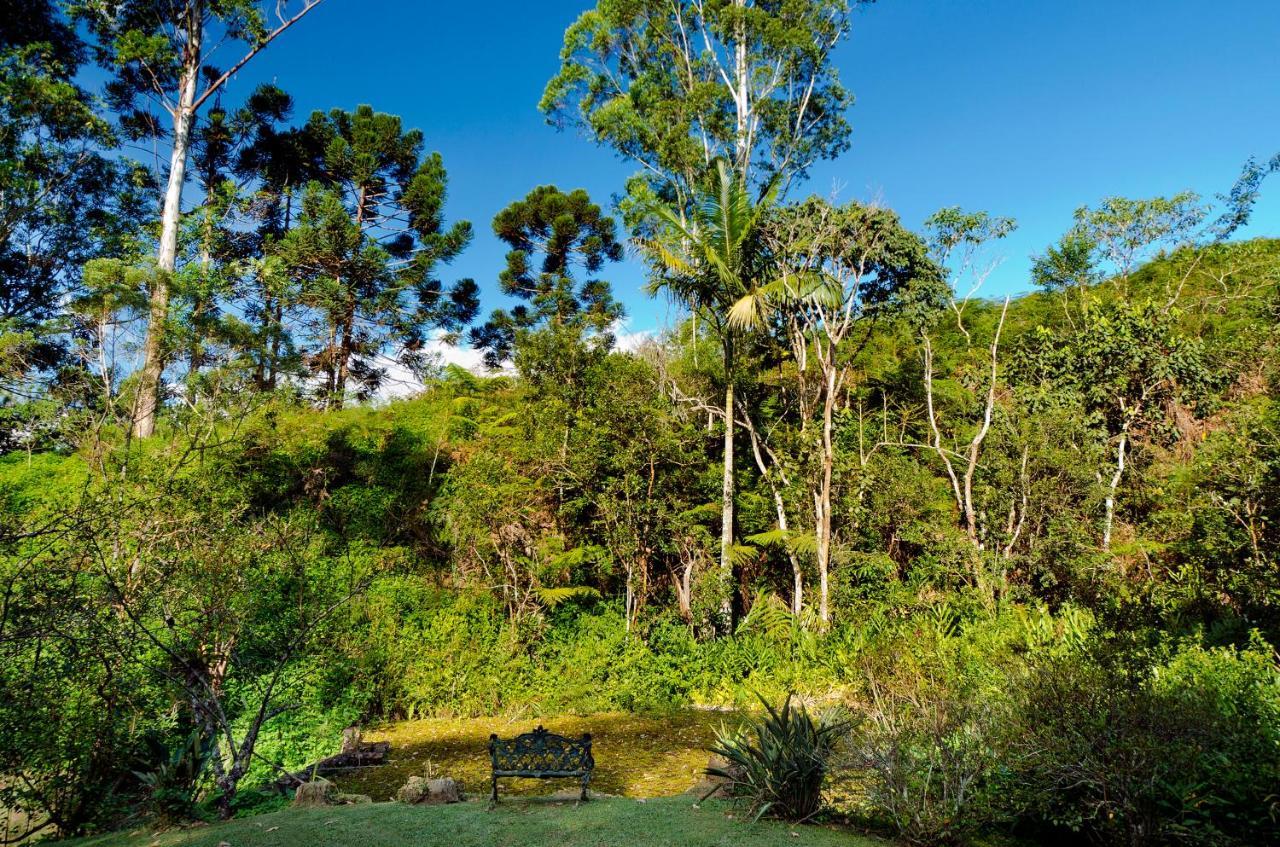 Pousada Fazenda Do Mel วิสกอนจิ จิ เมาอา ภายนอก รูปภาพ